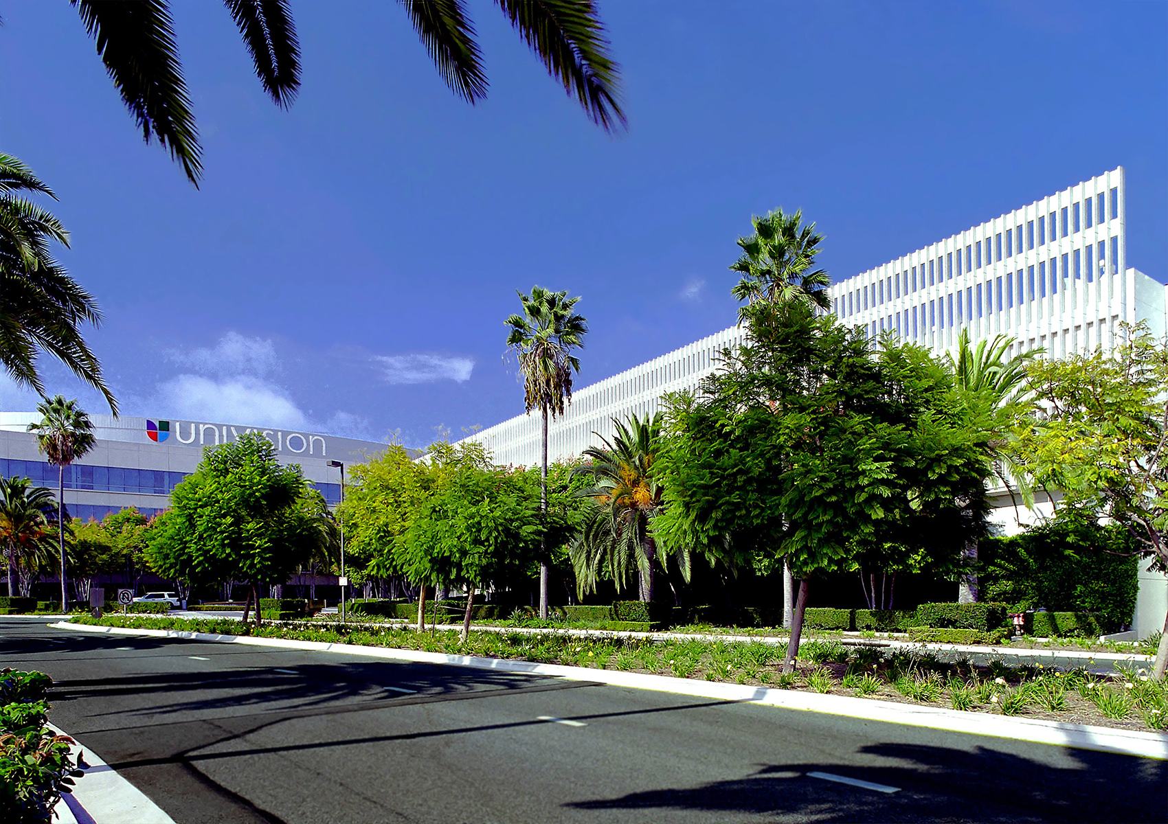 Univision